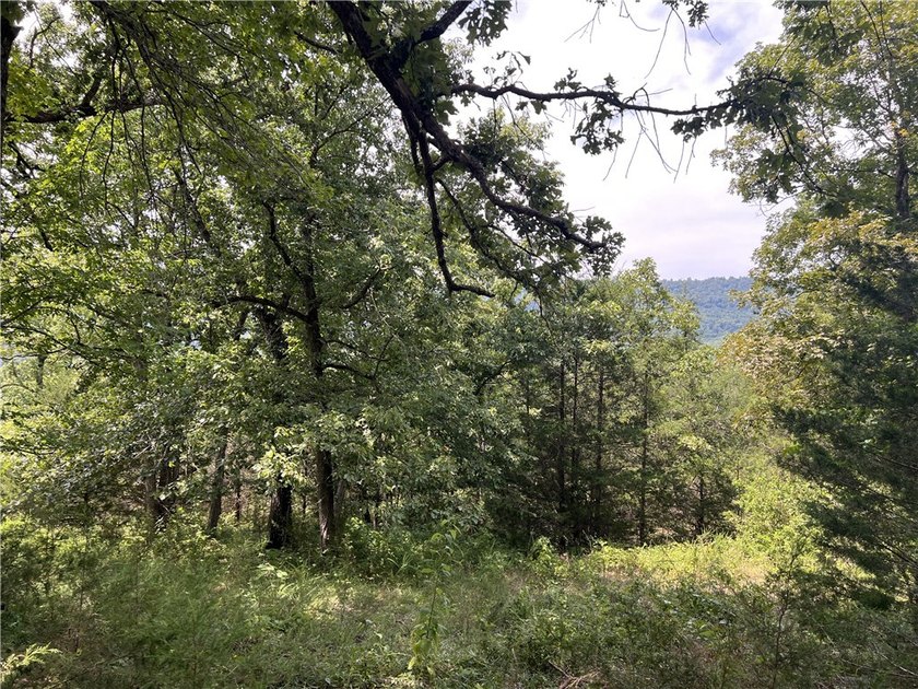 Beautiful views with this secluded log home on 207 acres m/l - photo 47