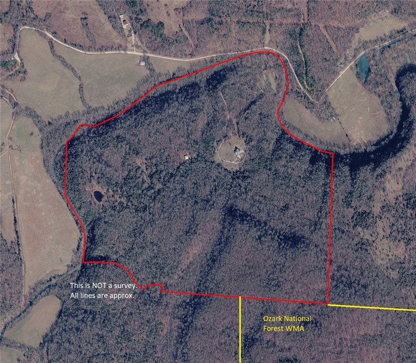 Beautiful views with this secluded log home on 207 acres m/l - photo 50
