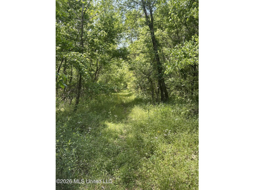 48 acres with a 3 BR 2 BA mobile home, shop, and additional home - photo 38