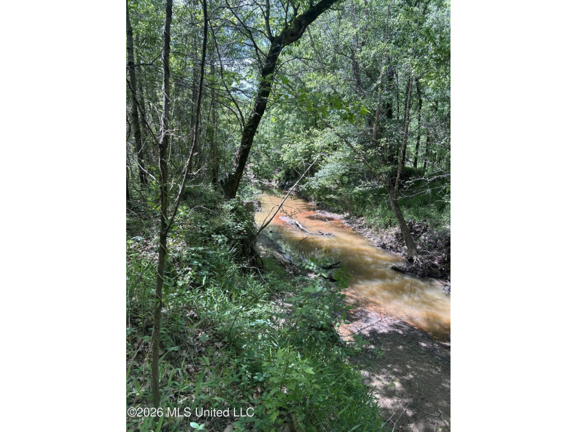 48 acres with a 3 BR 2 BA mobile home, shop, and additional home - photo 39