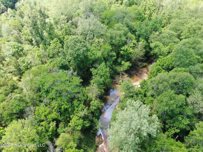 48 acres with a 3 BR 2 BA mobile home, shop, and additional home - photo 42