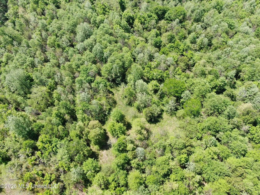 48 acres with a 3 BR 2 BA mobile home, shop, and additional home - photo 44