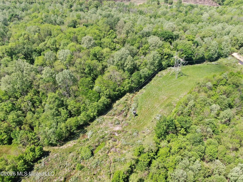 48 acres with a 3 BR 2 BA mobile home, shop, and additional home - photo 45