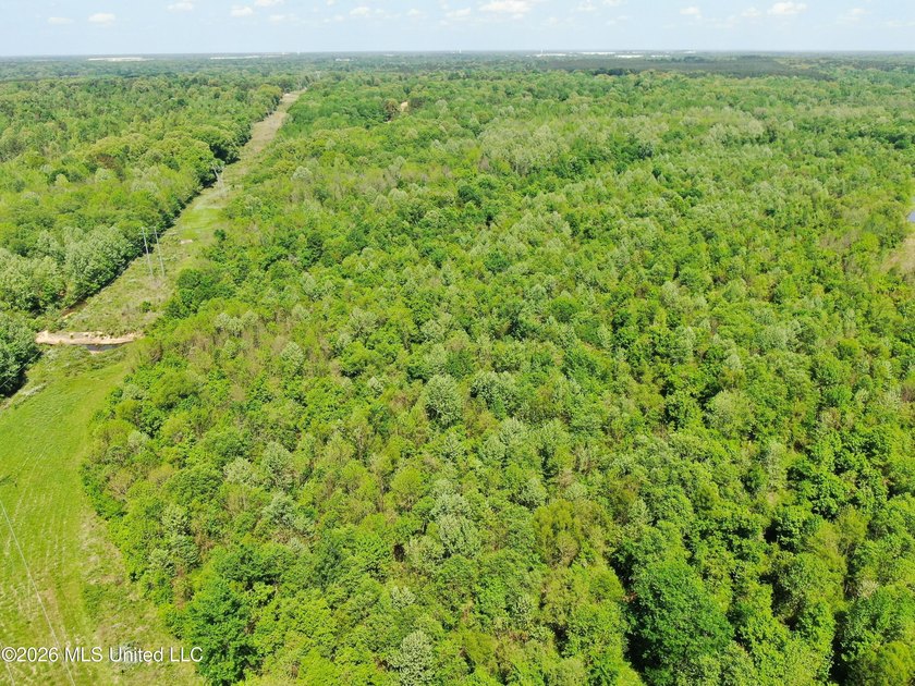 48 acres with a 3 BR 2 BA mobile home, shop, and additional home - photo 46
