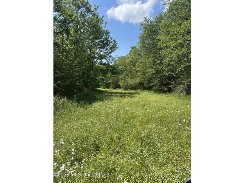 48 acres with a 3 BR 2 BA mobile home, shop, and additional home - photo 47