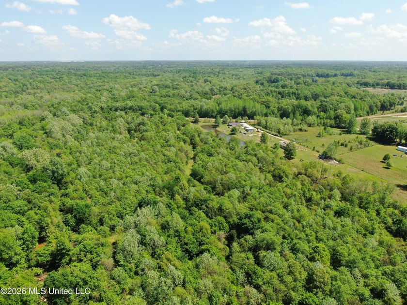 48 acres with a 3 BR 2 BA mobile home, shop, and additional home - photo 48
