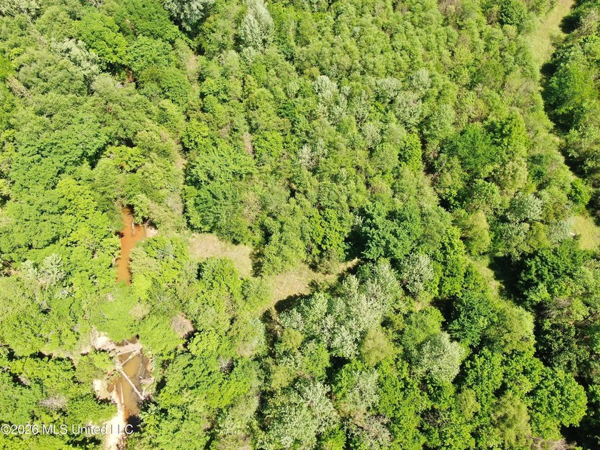 48 acres with a 3 BR 2 BA mobile home, shop, and additional home - photo 49