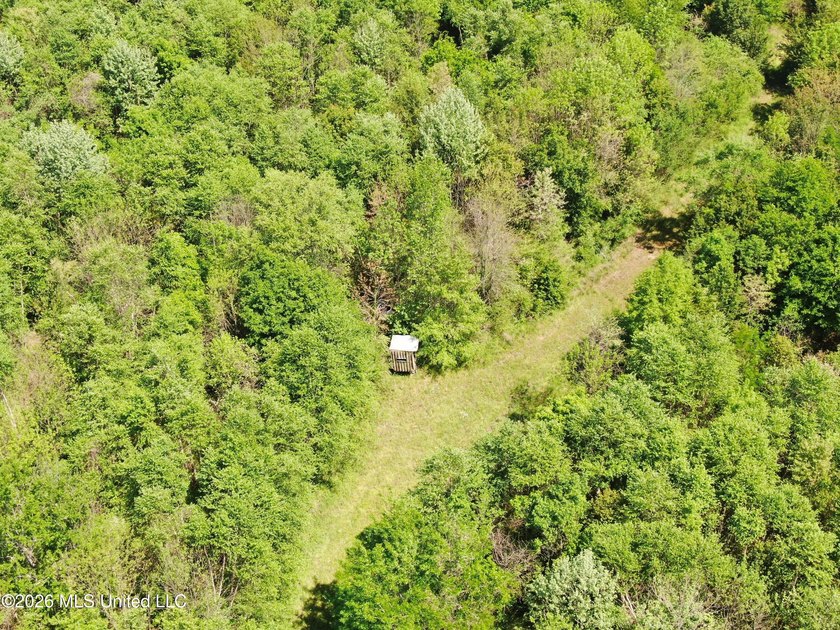 48 acres with a 3 BR 2 BA mobile home, shop, and additional home - photo 50