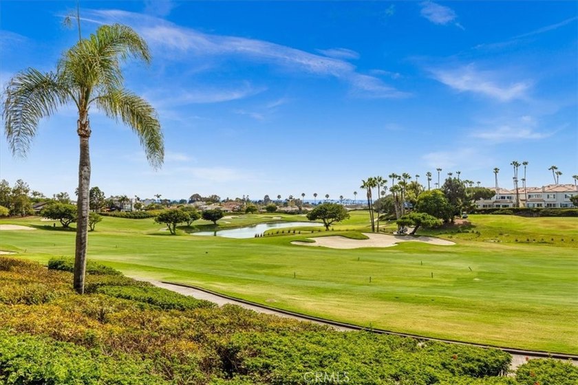 Within the prestigious guard-gated Estates at Monarch Beach - photo 45