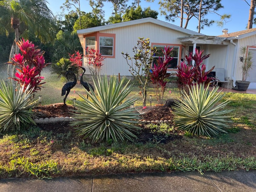 This well cared for 2-bedroom, 2 bathrooms Palm Harbor home - photo 44