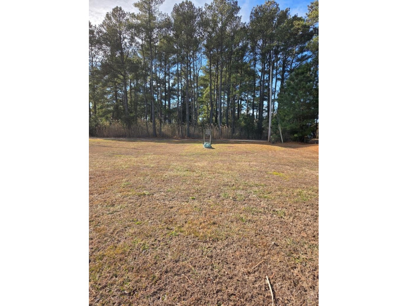 WOW!! BIG price reduction on this large, beautiful corner lot - photo 3