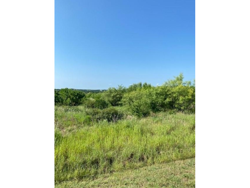 Level lot with trees and room to build. Lot ownership includes - photo 3