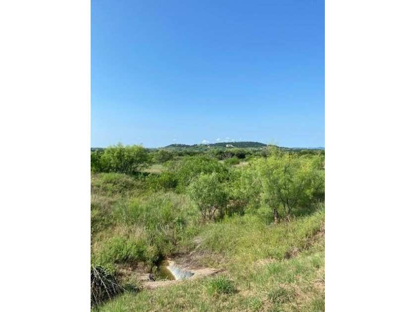 Level lot with trees and room to build. Lot ownership includes - photo 4