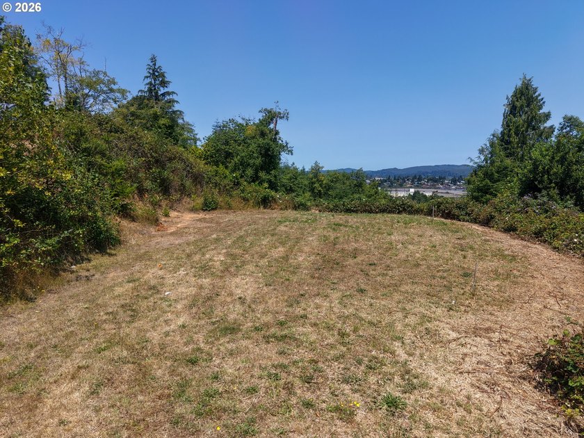 43-acre hilltop terraced lot offering beautiful views of the - photo 9