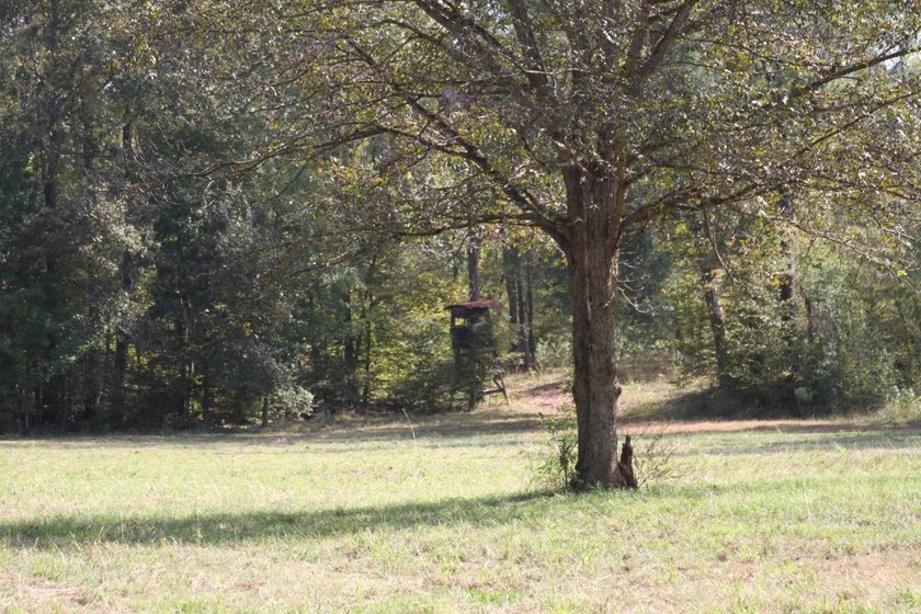 Approximately 175 acres in prime MS hunting country! This - photo 14