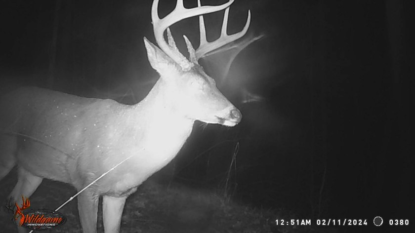 Approximately 175 acres in prime MS hunting country! This - photo 20