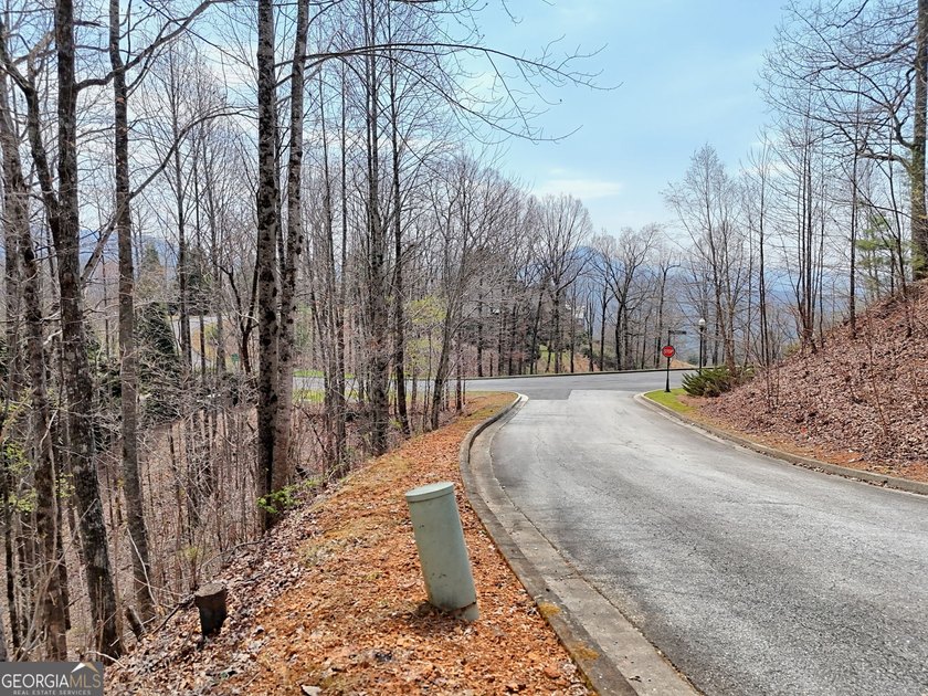 Welcome to Lot 15 Waterfall Drive-an exceptional 0.93-acre - photo 30
