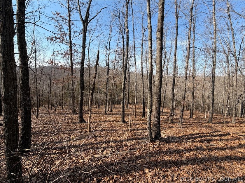 Great 5 acres of land located just outside of Camden County's - photo 11