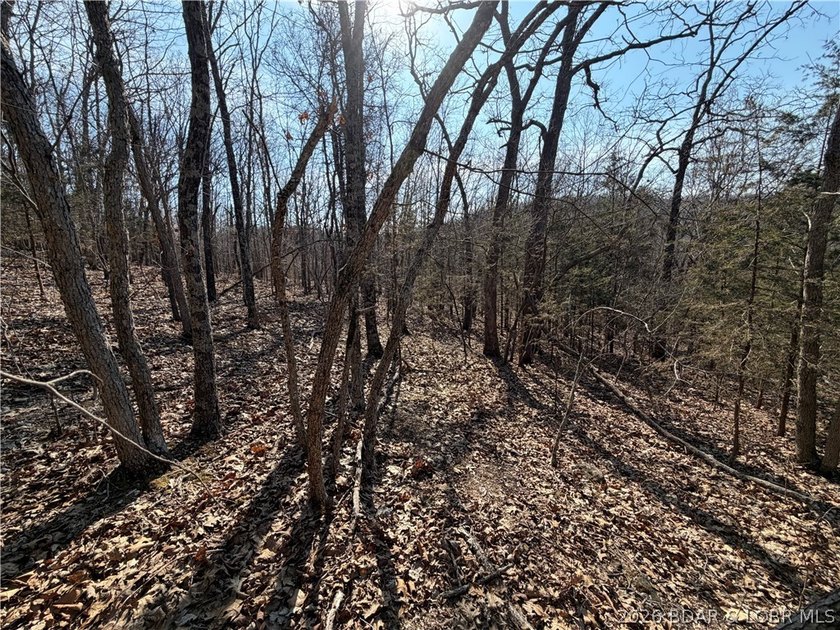 Great 5 acres of land located just outside of Camden County's - photo 14