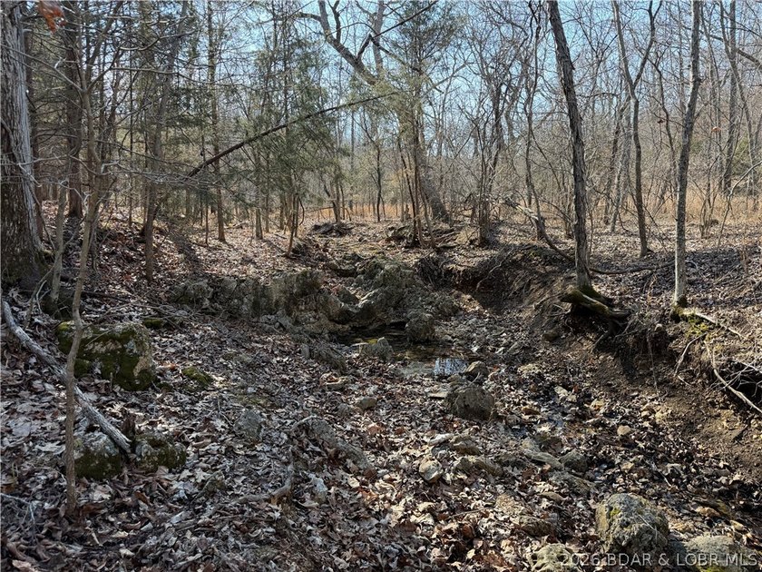 Great 5 acres of land located just outside of Camden County's - photo 16