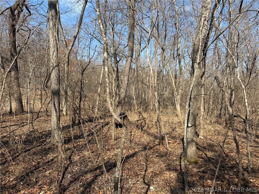 Great 5 acres of land located just outside of Camden County's - photo 20