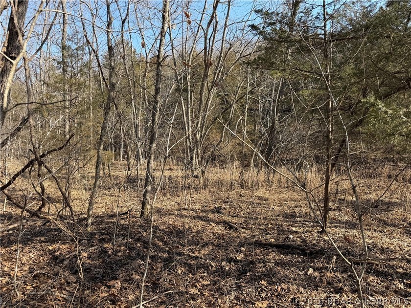 Great 5 acres of land located just outside of Camden County's - photo 21