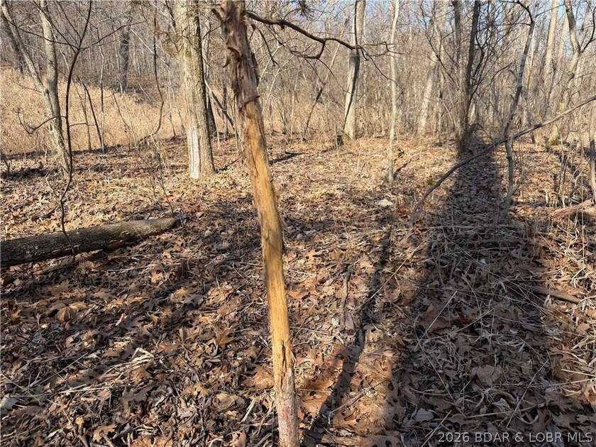 Great 5 acres of land located just outside of Camden County's - photo 22