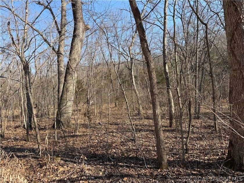 Great 5 acres of land located just outside of Camden County's - photo 24
