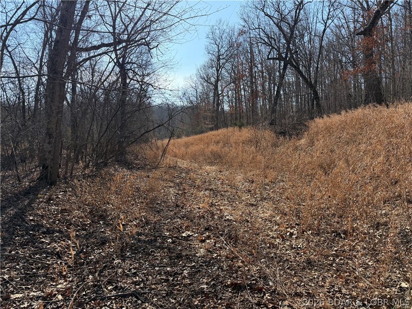 Great 5 acres of land located just outside of Camden County's - photo 25