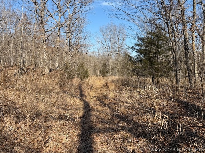 Great 5 acres of land located just outside of Camden County's - photo 26