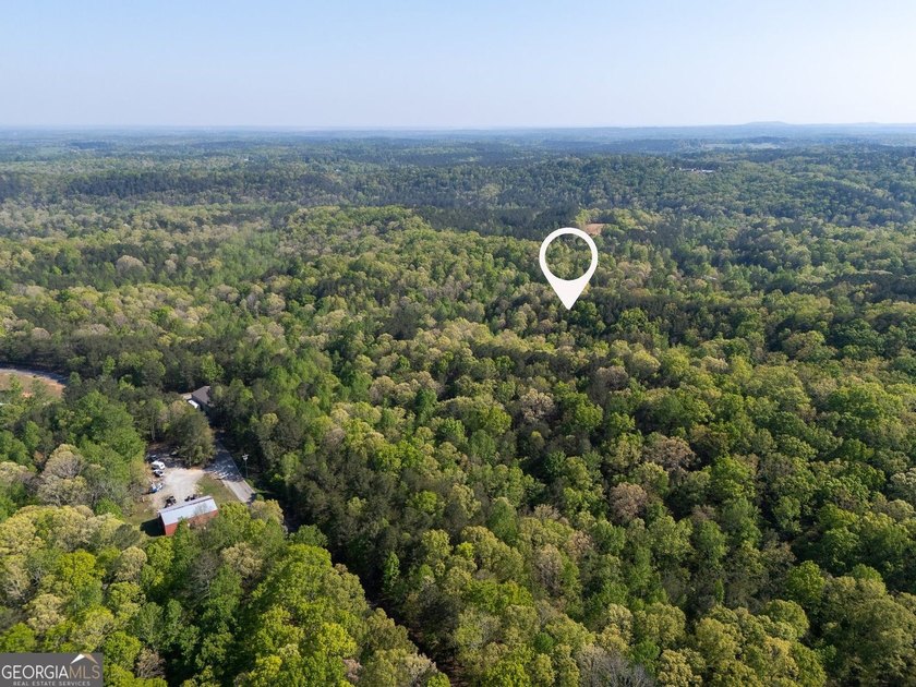 Seller will CONSIDER SUBDIVIDING. Parcels like this seem to be - photo 17