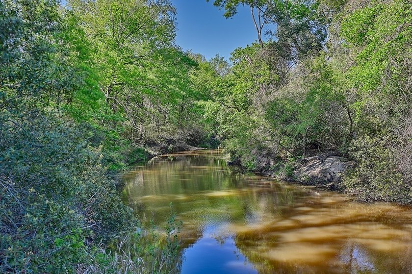 +/-325 acres with approximately 1 mile of frontage on Lake - photo 17