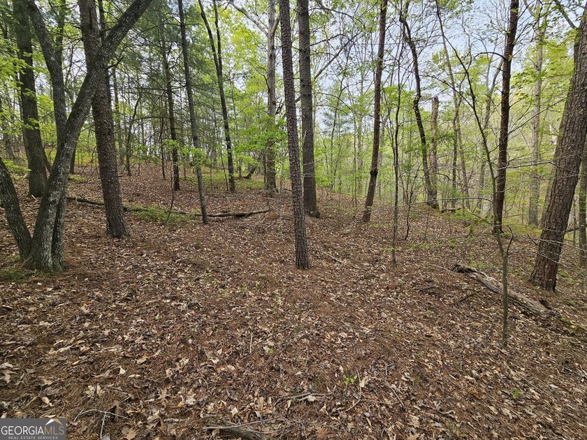 Seller will CONSIDER SUBDIVIDING. Parcels like this seem to be - photo 28