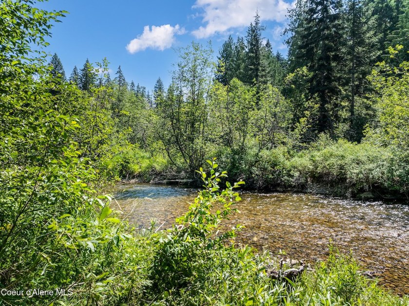 Tucked along 180 feet of Granite Creek frontage, this rare 1 - photo 7