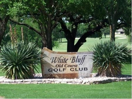 White Bluff is the place to be. This is a great corner lot - photo 14