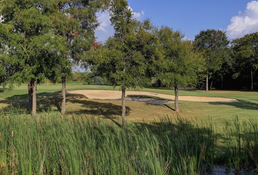 White Bluff is the place to be. This is a great corner lot - photo 22
