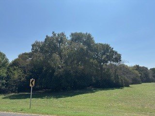 White Bluff is the place to be. This is a great corner lot - photo 34