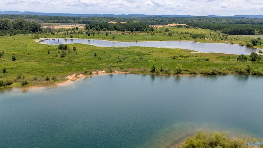 New Listing! First time offered! Beautiful farm featuring 2 - photo 4