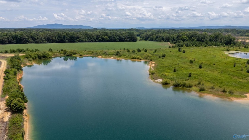 New Listing! First time offered! Beautiful farm featuring 2 - photo 5
