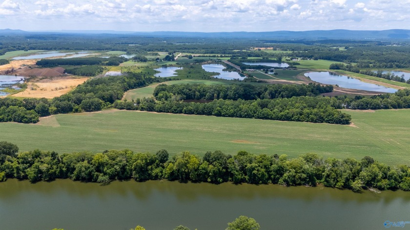 New Listing! First time offered! Beautiful farm featuring 2 - photo 7