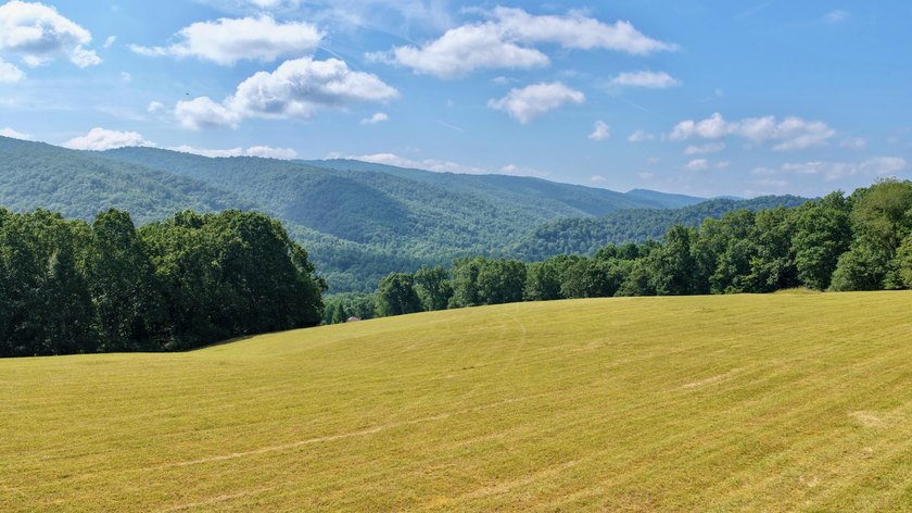 Escape to your own slice of paradise on 61 beautiful acres - photo 32