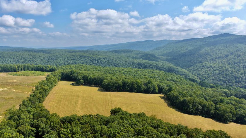 Escape to your own slice of paradise on 61 beautiful acres - photo 33
