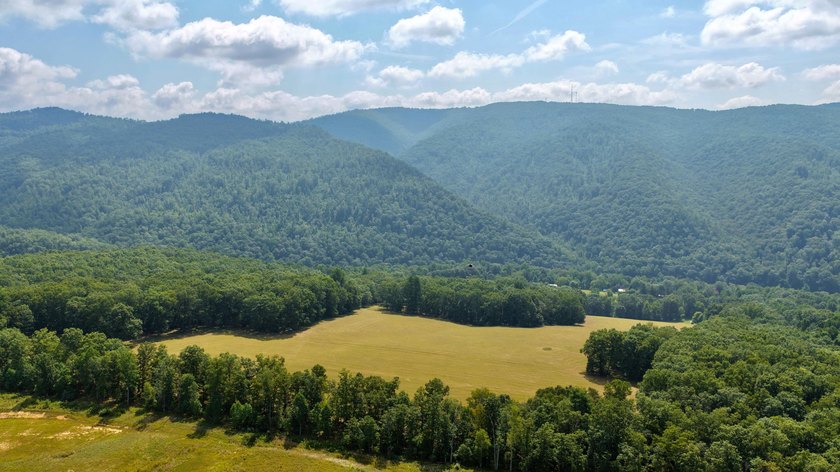 Escape to your own slice of paradise on 61 beautiful acres - photo 35