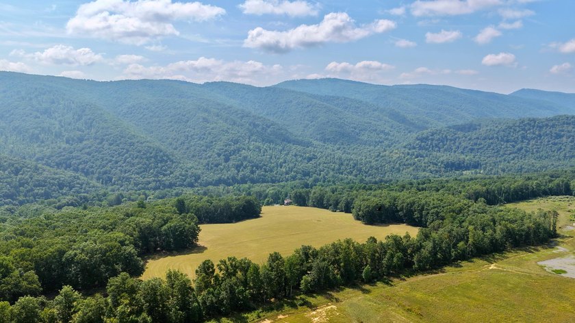Escape to your own slice of paradise on 61 beautiful acres - photo 36