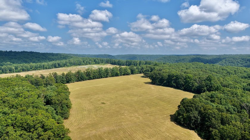 Escape to your own slice of paradise on 61 beautiful acres - photo 45