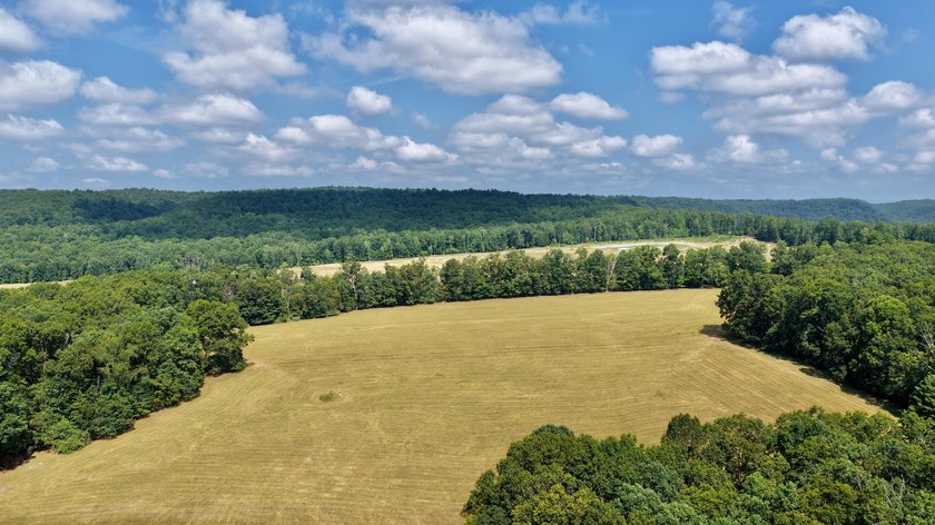 Escape to your own slice of paradise on 61 beautiful acres - photo 46
