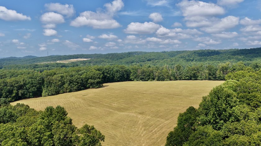 Escape to your own slice of paradise on 61 beautiful acres - photo 47