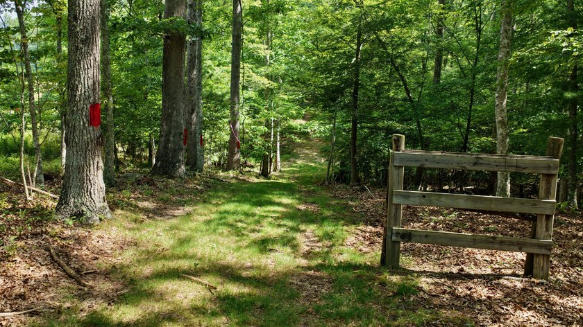 Escape to your own slice of paradise on 61 beautiful acres - photo 50