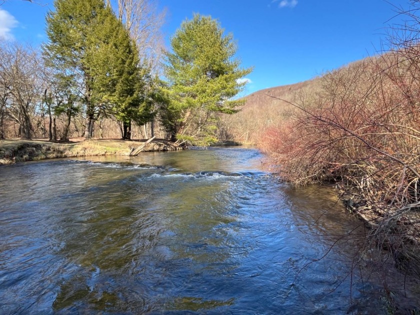 1449 Burning Well Rd, Wilcox, PA 15870, 4790986