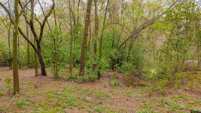 Beautiful lot located just off the golf course in the highly - photo 12